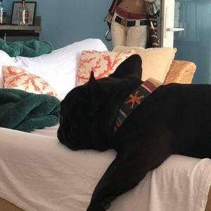 Meet your Posher, Mary lee